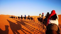 morocco 12 days 11 night desert tour from agadir