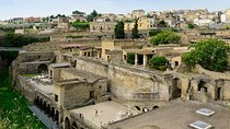 Shore Tour to the Excavations of Herculaneum(2 hours)