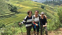 Sapa Trekking Villages 2D1N Tour : Meals, Local Guide & Homestay