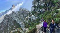 India Venster: sensational half-day route up Table Mountain 