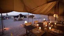 Agafay Desert: Quad & Camel With Dinner in a Berber Tent