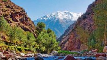Ourika Valley: Atlas Mountains day trip from Marrakech