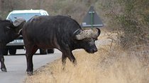 5 Day Kruger Park Budget Safari