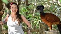 Cartagena private aviary tour