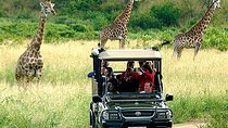Cape Town - The best of Aquila Safari Full day Tour 