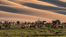 14-Day Private Tour from Gobi Desert to Steppe with Meals