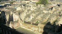 Ercolanum and Vesuvius with Personal driver