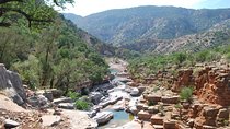 Paradise valley Half day Trip (Agadir)