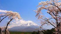 Mt Fuji Private Tour with Native Japanese Driver
