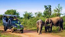  Half Day Udawalawe Safari from Kalutara (Entrance + Lunch)