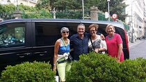 Private Transfer from Naples to Pompeii or vice versa.