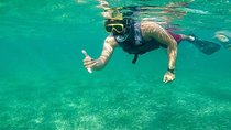 Basic Snorkel Experience from Cancun
