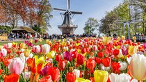 Brussels: Full Day Guided Holland Keukenhof & Zaanse Schans Tour