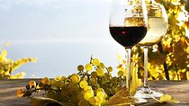 Pompeii & Wine Tour from Sorrento (tickets & lunch not included)