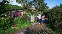 Hobbiton Movie Set Group Tour Early Access (Avoid the crowds!)