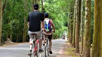 Full-Day Angkor and Temples Cycling Tour