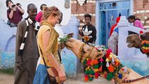 Private Tour of Nubian Village from Aswan by Felucca
