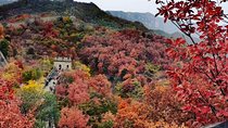 Beijing Airport Layover Tour to Mutianyu Great Wall