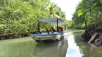 Costa Rica Mangrove Monkey Tour