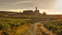 Rioja Wine Tour: Winery & Traditional Lunch From Vitoria