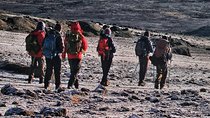  8 Days Kilimanjaro Lemosho route details