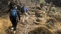 Day Hike to Mount Kilimanjaro (Mandara Hut)