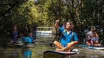 Paddle Board Mangrove Tour