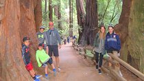 Half-Day Private Tour of Alcatraz , Muir Woods & Sausalito 
