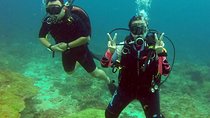 Open water scuba certifiication course with beach dives 