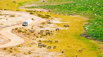 2 Days Amboseli Getaway Trip