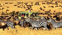 11 Days: Tanzania &Rwanda Safaris (great migration and air balloon)