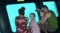 Marsa Alam: Semi Submarine & Coral Viewing Tour & Snorkeling