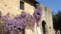 Exclusive Private tour To Siena and San Gimignano 