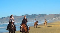 Private Redwoods Tour & Horseback Riding Experience
