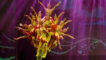 Acrobatics Show with Private Driver Service Include Hotel Pick-up and Drop-off