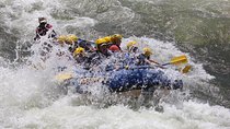 River Nile White Water Rafting Adventure 1 Day Tour
