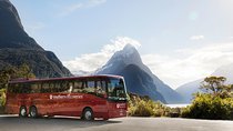 Milford Sound Coach & Cruise from Queenstown: Panoramic Views