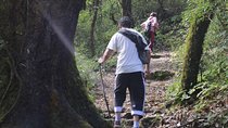 Shivapuri Day Hiking