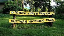 Jeep Safari in Chitwan National Park