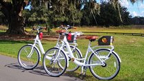 Village Bicycle Rental Free Delivery in The Villages Florida 