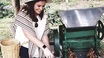 Coffee Farm Experience - Medellin