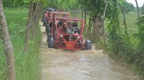Buggies Excursions Punta Cana...for all family...