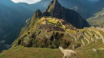Machu Picchu By Train (Day Trip)
