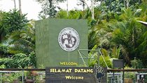 Bukit Merah Orang Utan Island And Ipoh City Tour