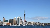 Private Auckland City Tour For Small Group in a luxury vehicle.