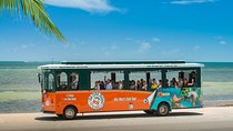 Key West Shore Excursion: Hop-On Hop-Off Trolley Tour