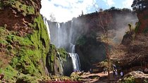 Ouzoud Waterfall Day Trip From Marrakech