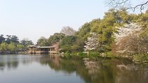 Classic Hangzhou city day tour
