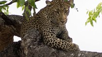 3 Days Explore Selous Game Reserve + Boat safari + bushman walking