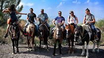 Mount Vesuvius Guided Horse Riding Tour with Sample Wine